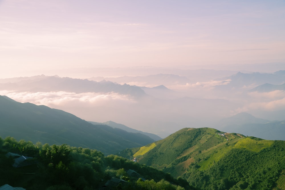 um vale com colinas e árvores