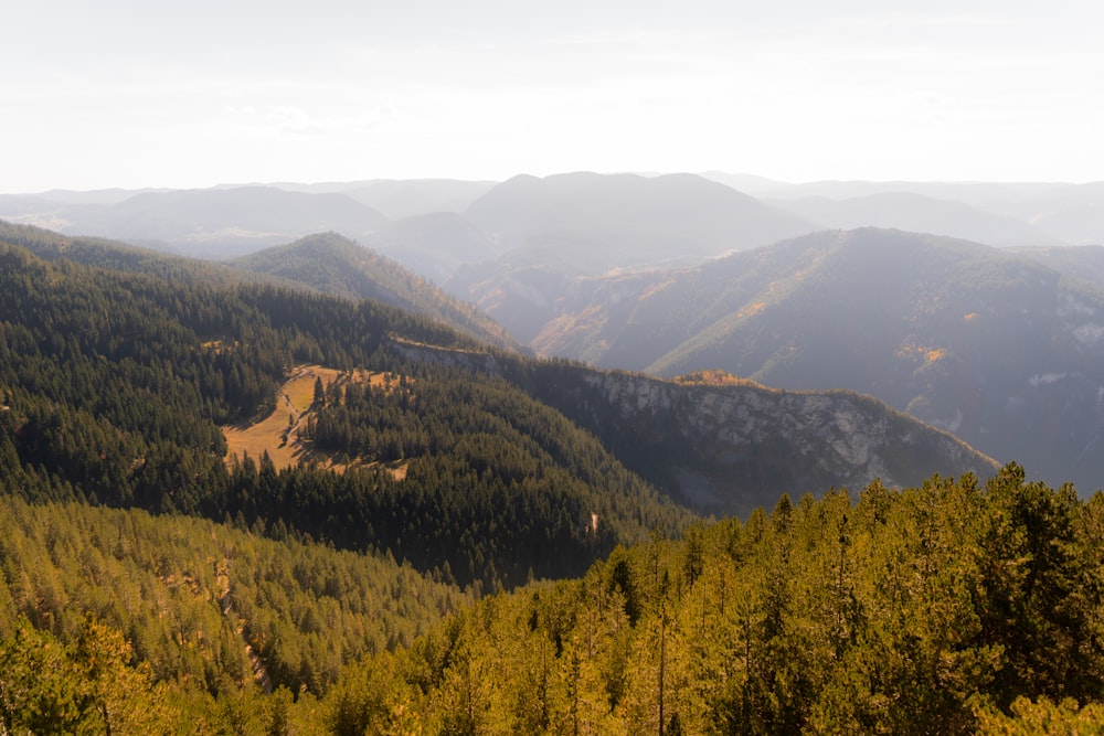 a landscape with trees and hills