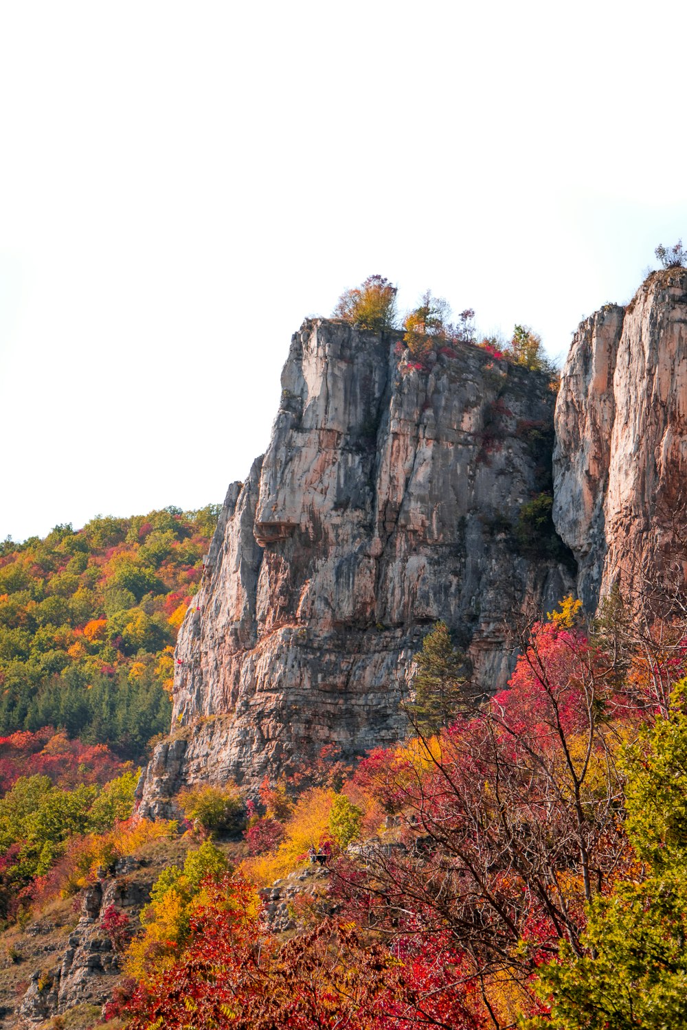 a rocky cliff with trees on it