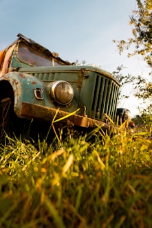 a car in a field