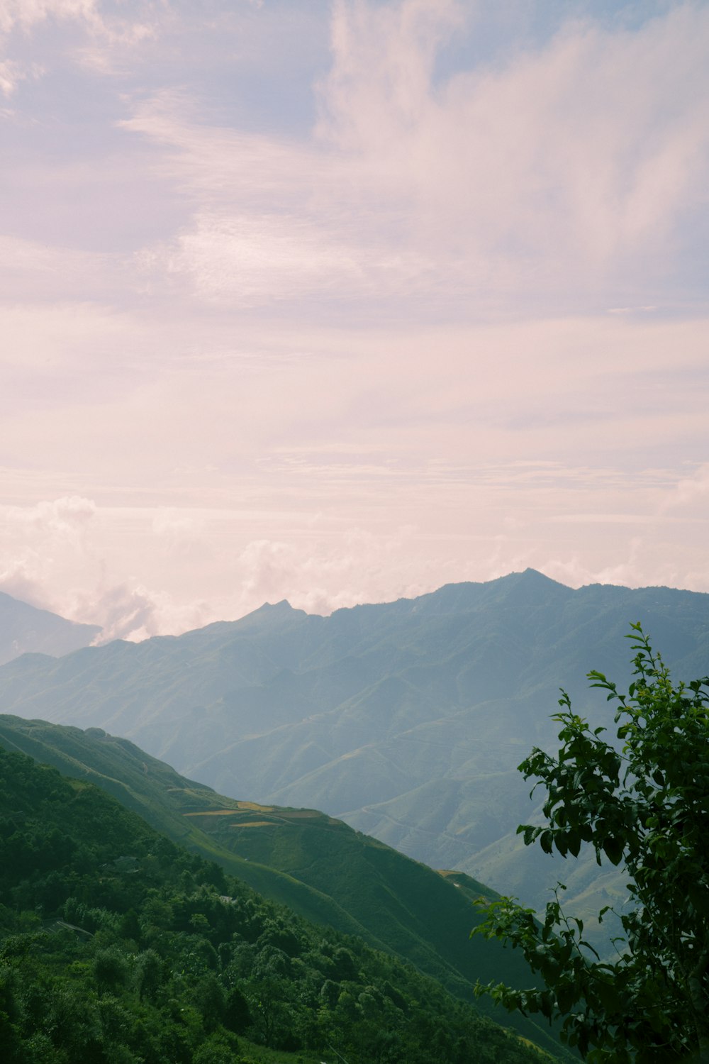 a landscape with hills and trees