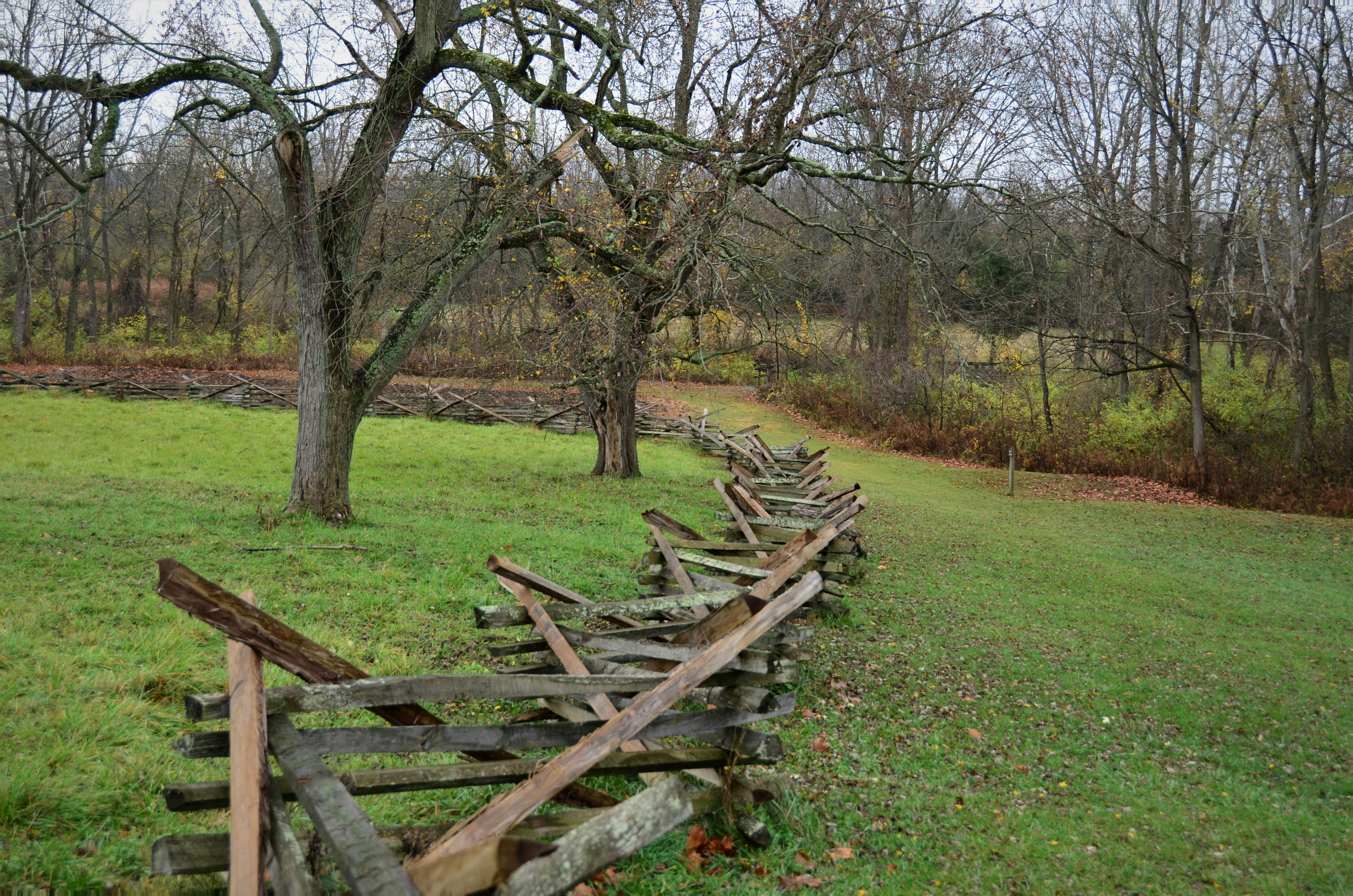 Phelps Grove Park