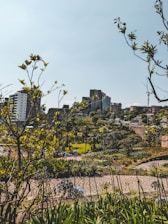 A serene view of lush green central gardens with modern residential towers in the background at Arihant Seasons.