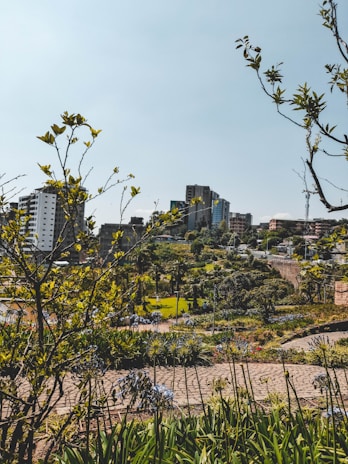 A serene view of lush green central gardens with modern residential towers in the background at Arihant Seasons.