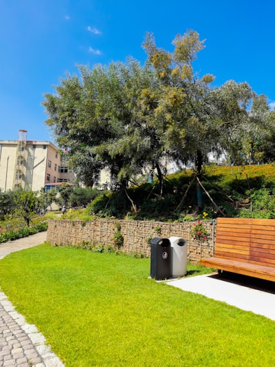 A well-maintained park area featuring a wooden bench on a concrete slab surrounded by lush green grass. Tall trees with dense foliage provide shade, and a retaining wall made of stacked stones runs along the edge. Two modern trash bins, one black and one silver, are situated near the bench. A building with multiple windows can be seen in the background under a clear blue sky.