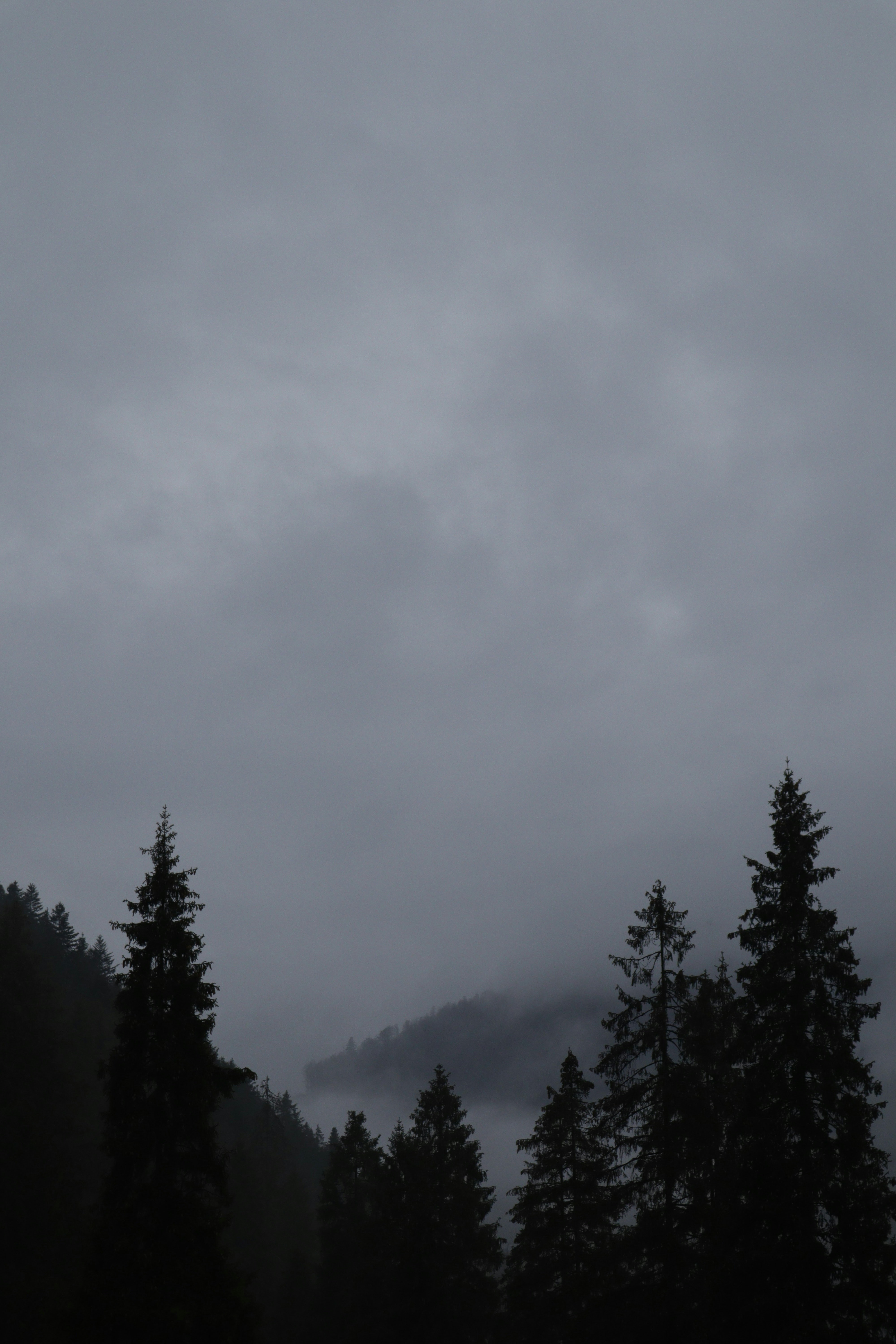 Photo by timesnewroman14