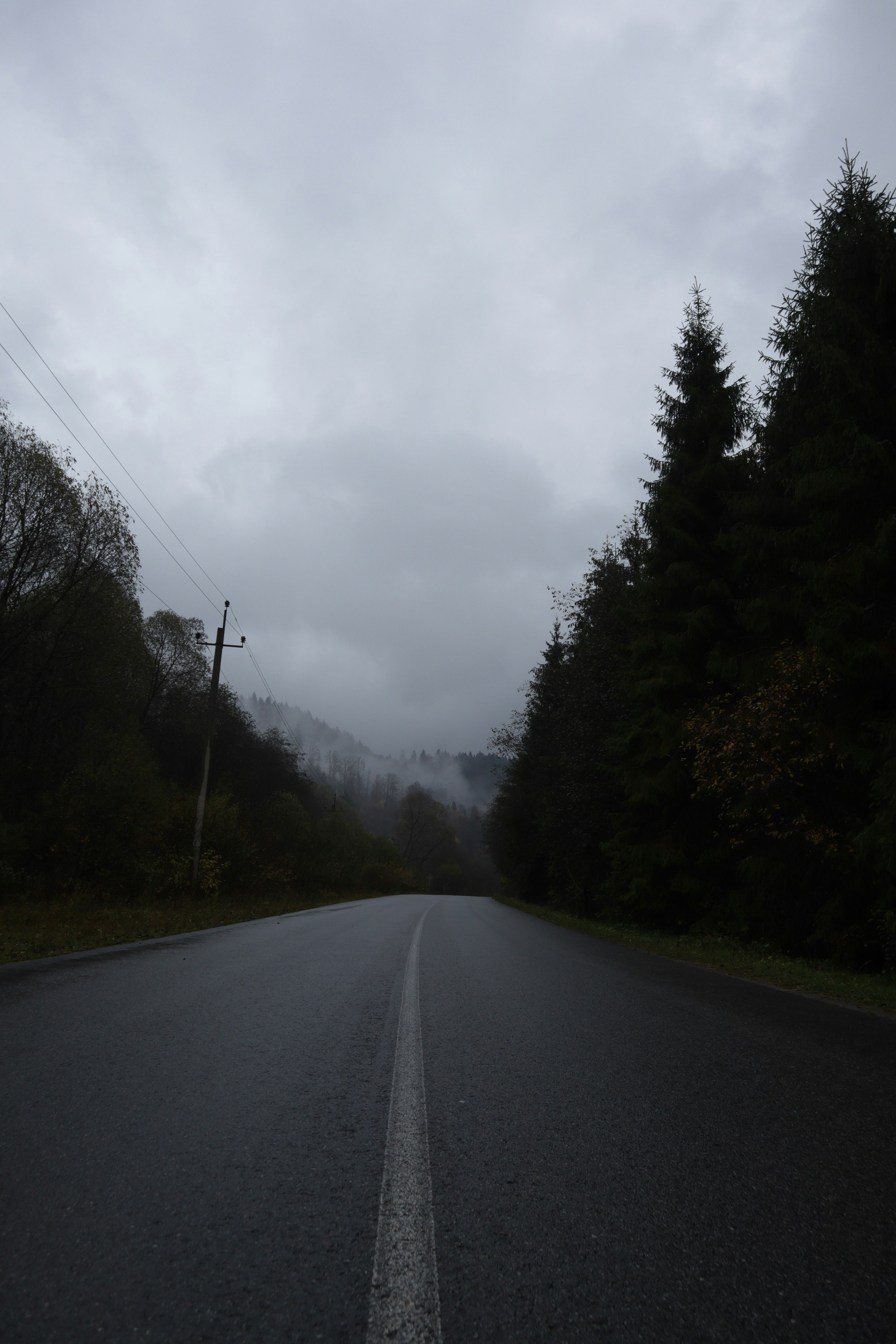 Photo by timesnewroman14