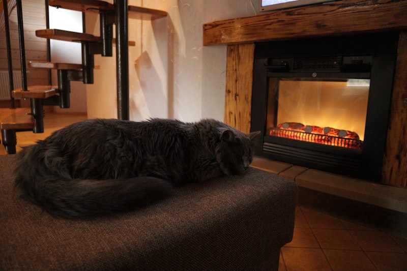 Мифы о тёплом поле под SPC