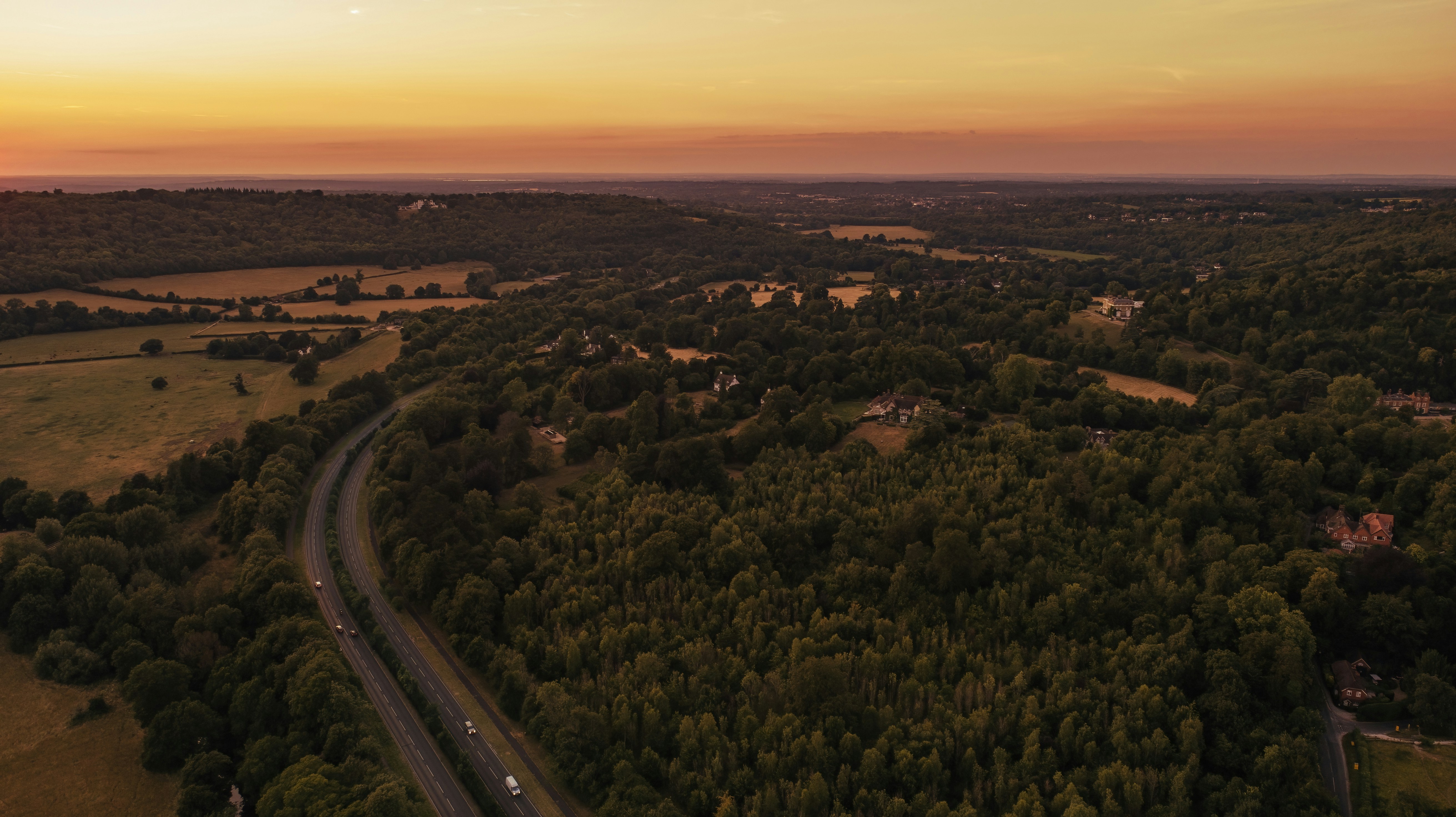 a road going through a forest