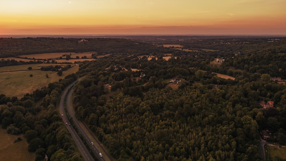 Eine Straße, die durch einen Wald führt