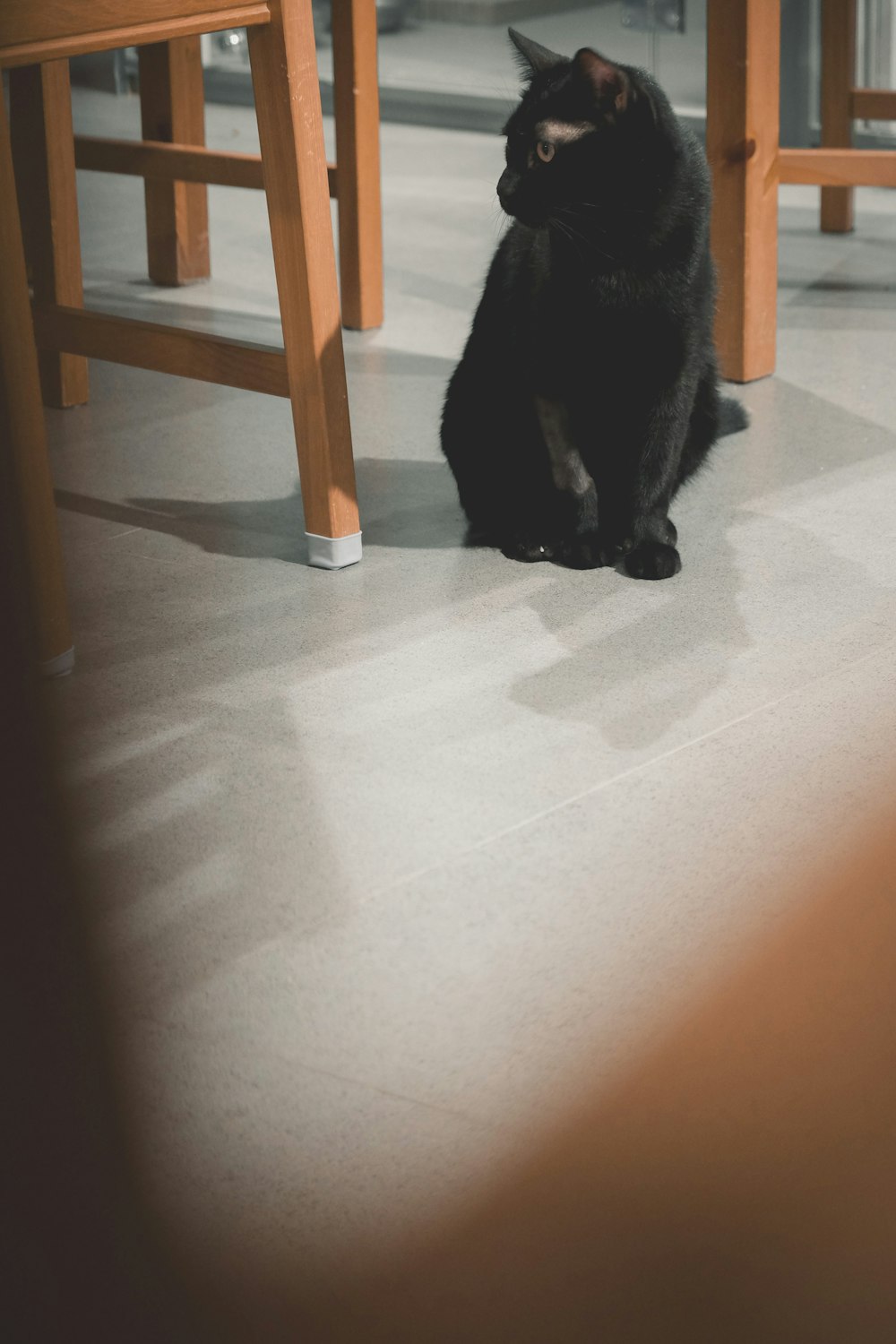 a black cat sitting on a tile floor