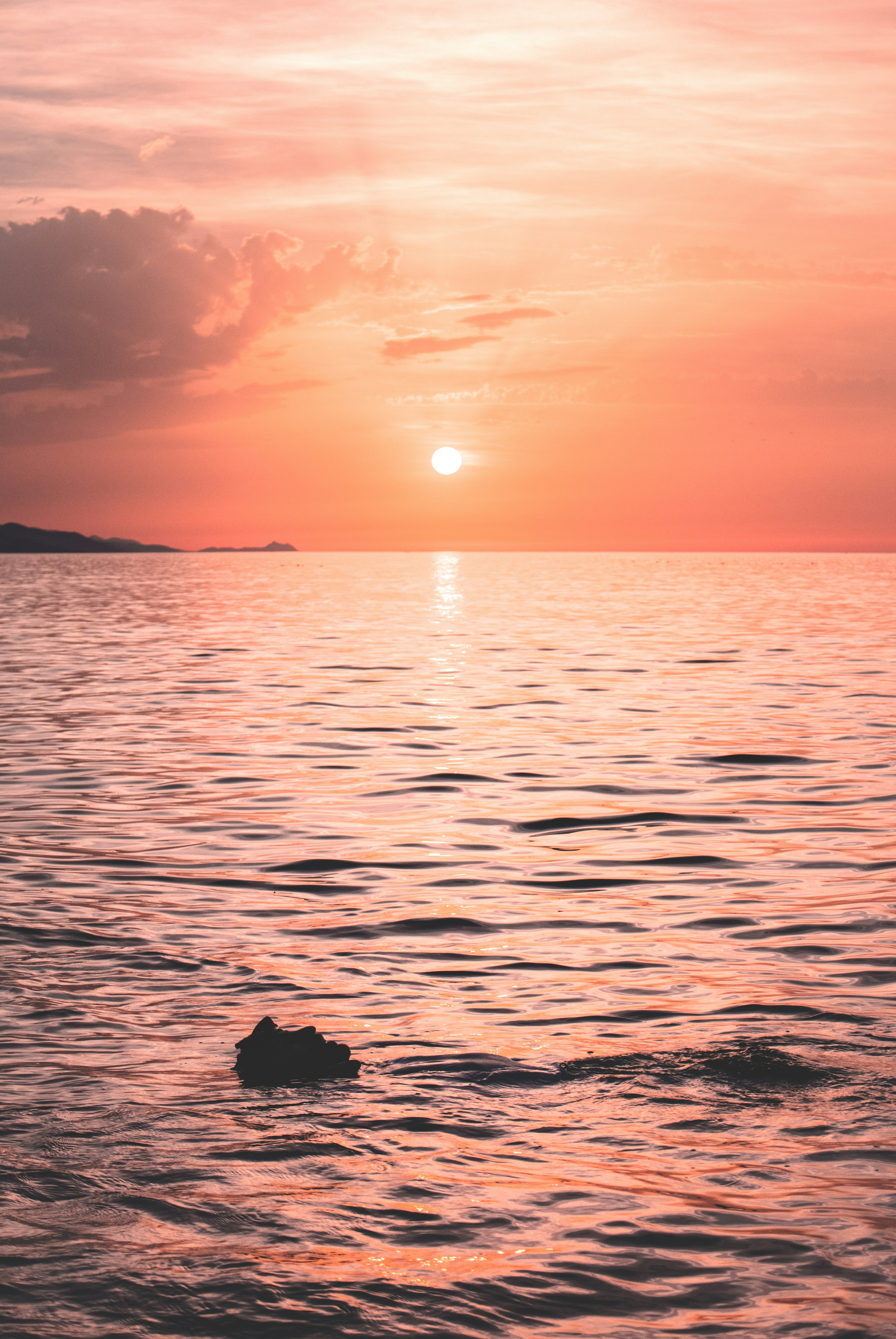 Photo by mounir_abdi