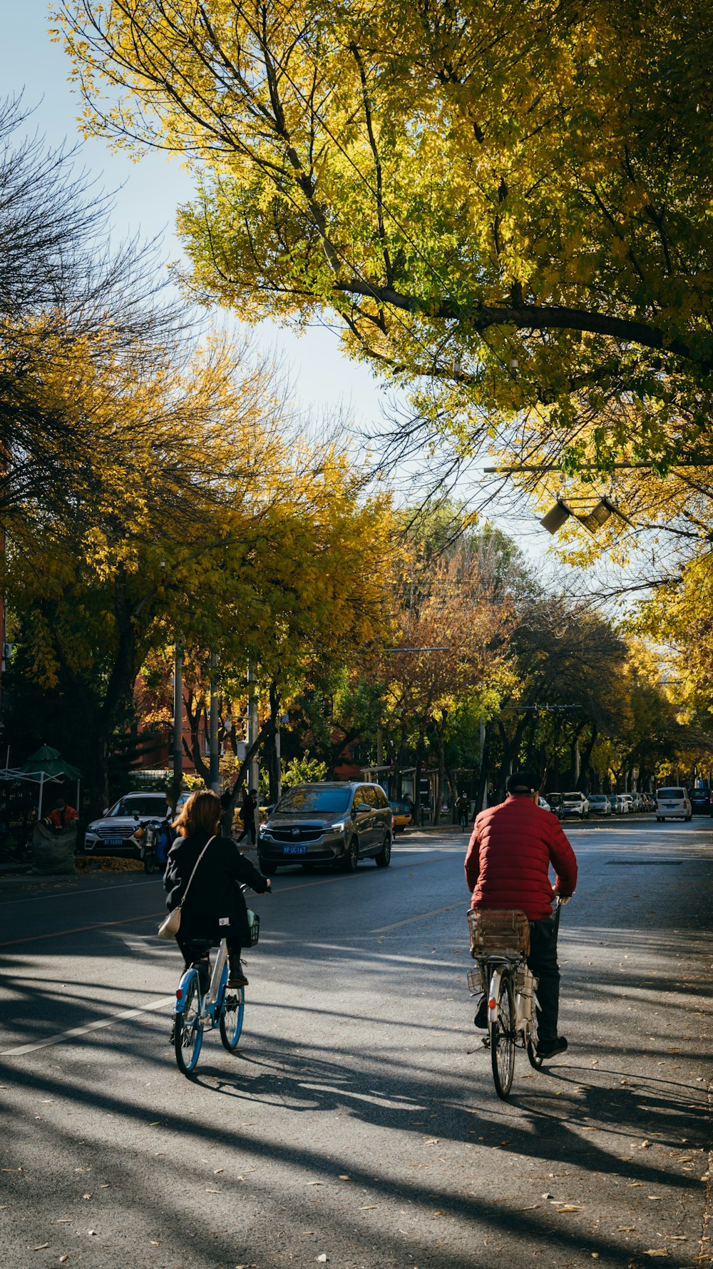 a man and woman riding bicycles on a road with trees on either side