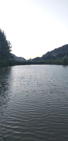 Gentle ripples on a quiet lake surrounded by lush greenery under a pastel sky.