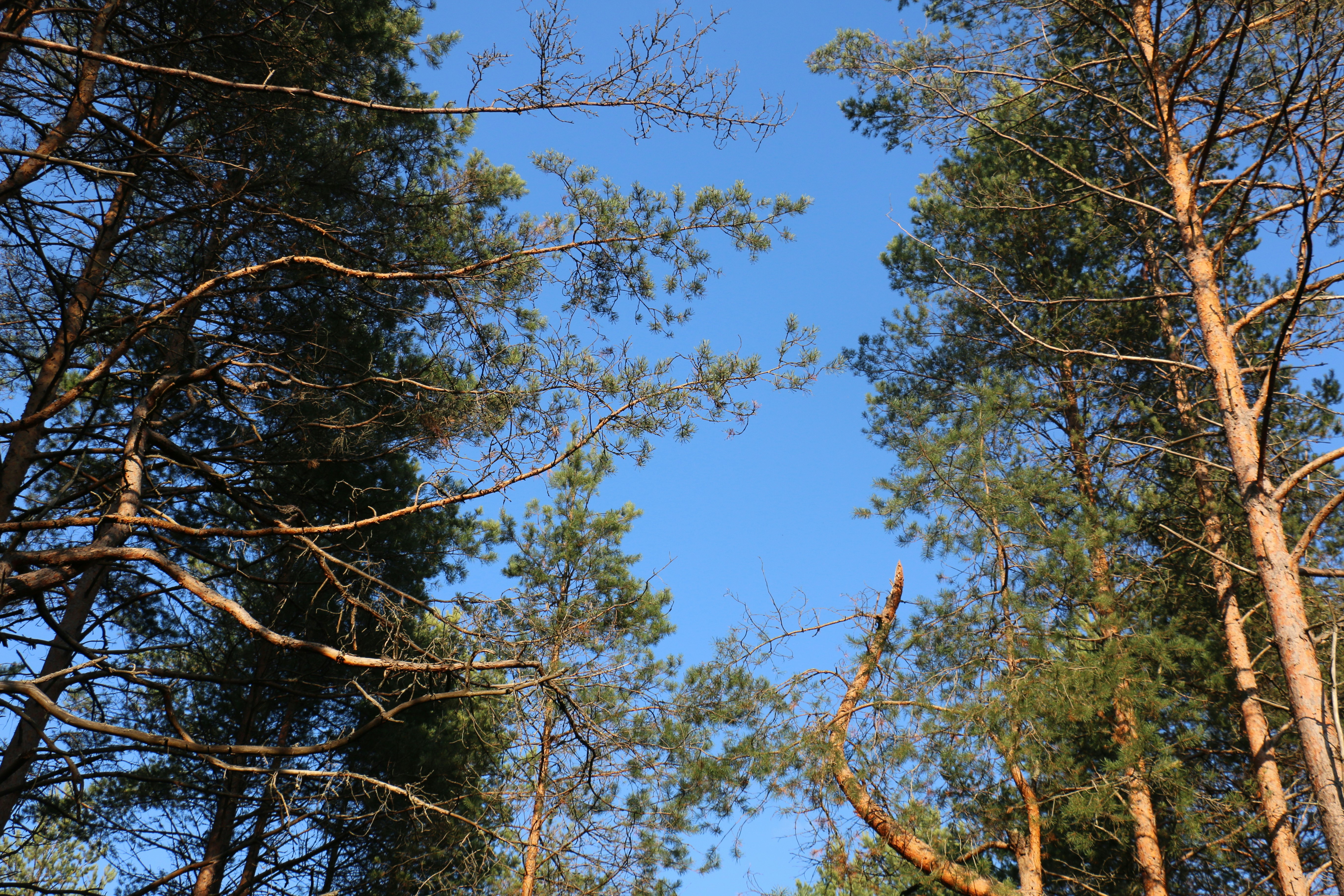 Photo by victorvictorov