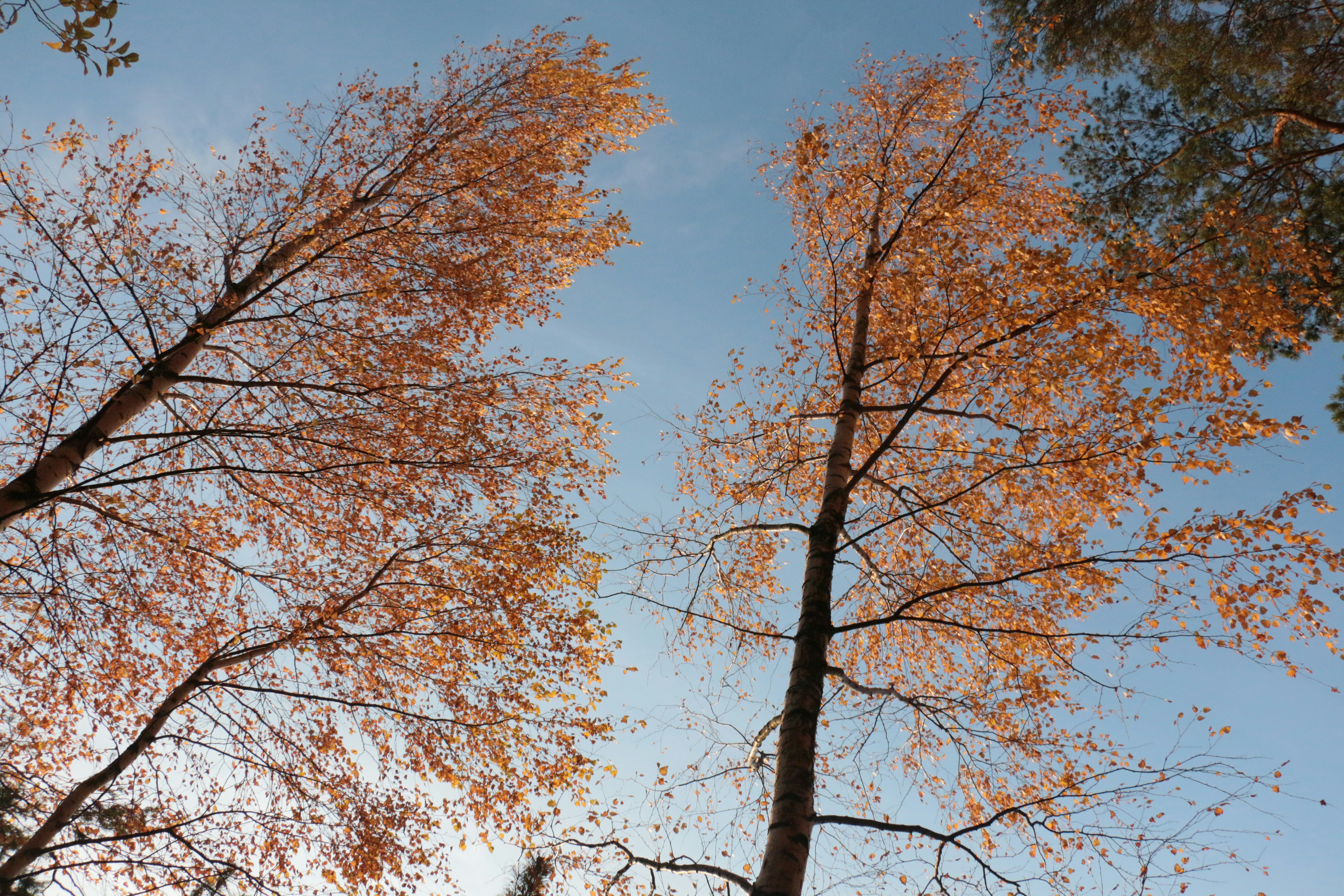 Photo by victorvictorov