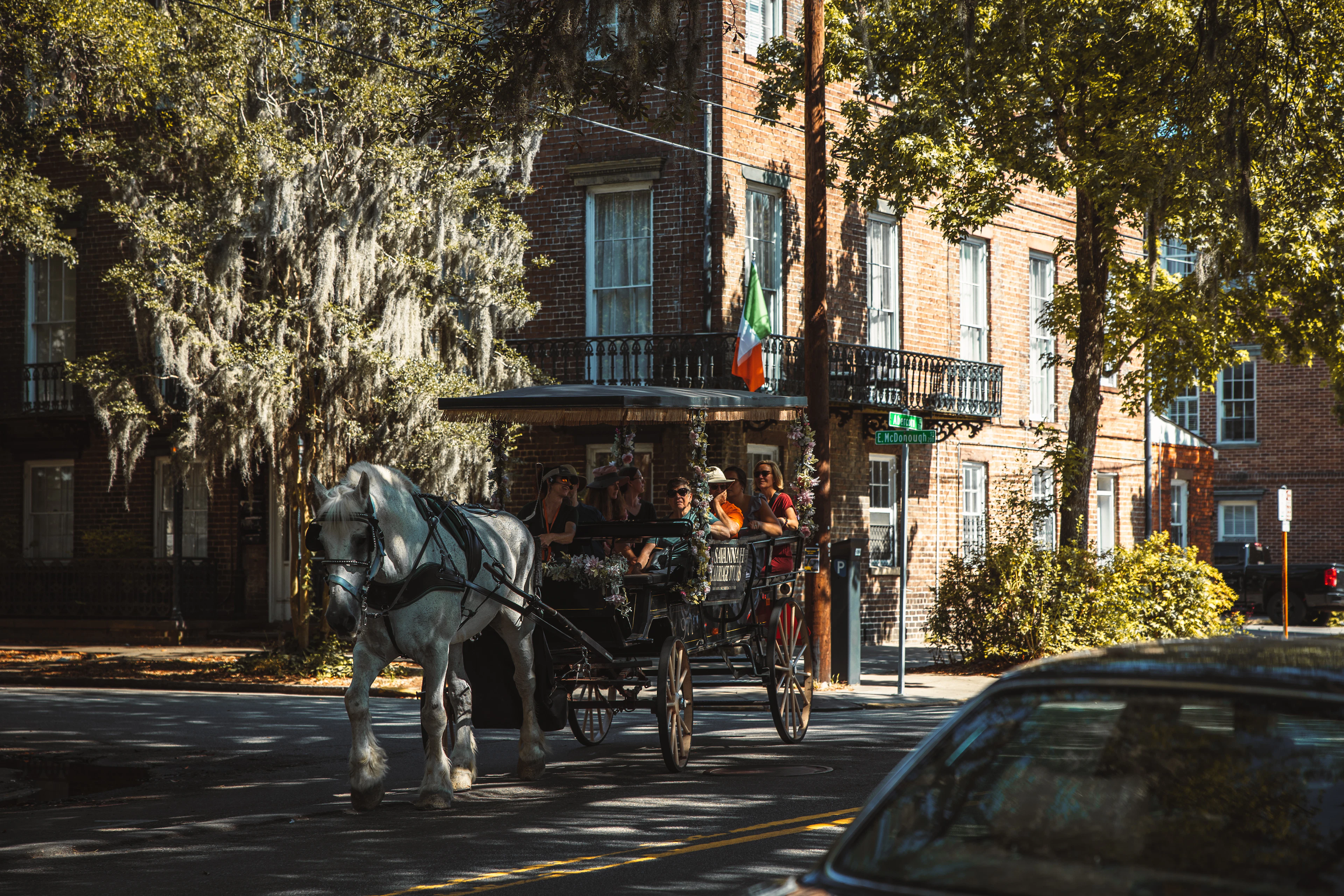 Savannah