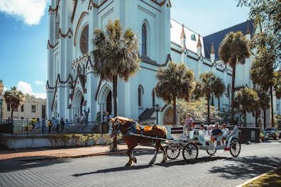 a horse carriage on the street