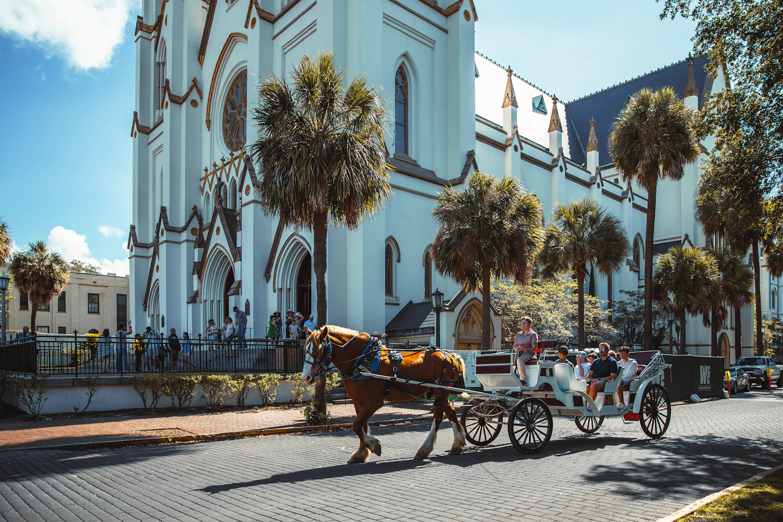 A horse carriage on a street under the live oaks in Savannah