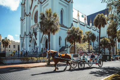 A horse carriage on a street under the live oaks in Savannah