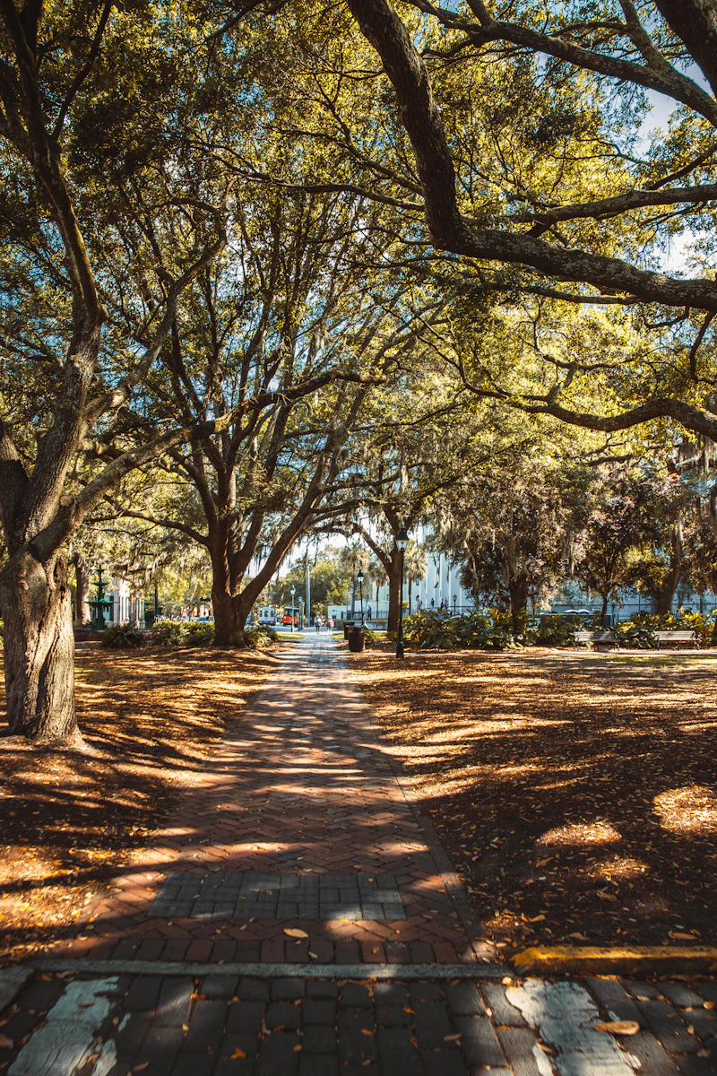 Historic oak-lined street in Savannah, Georgia