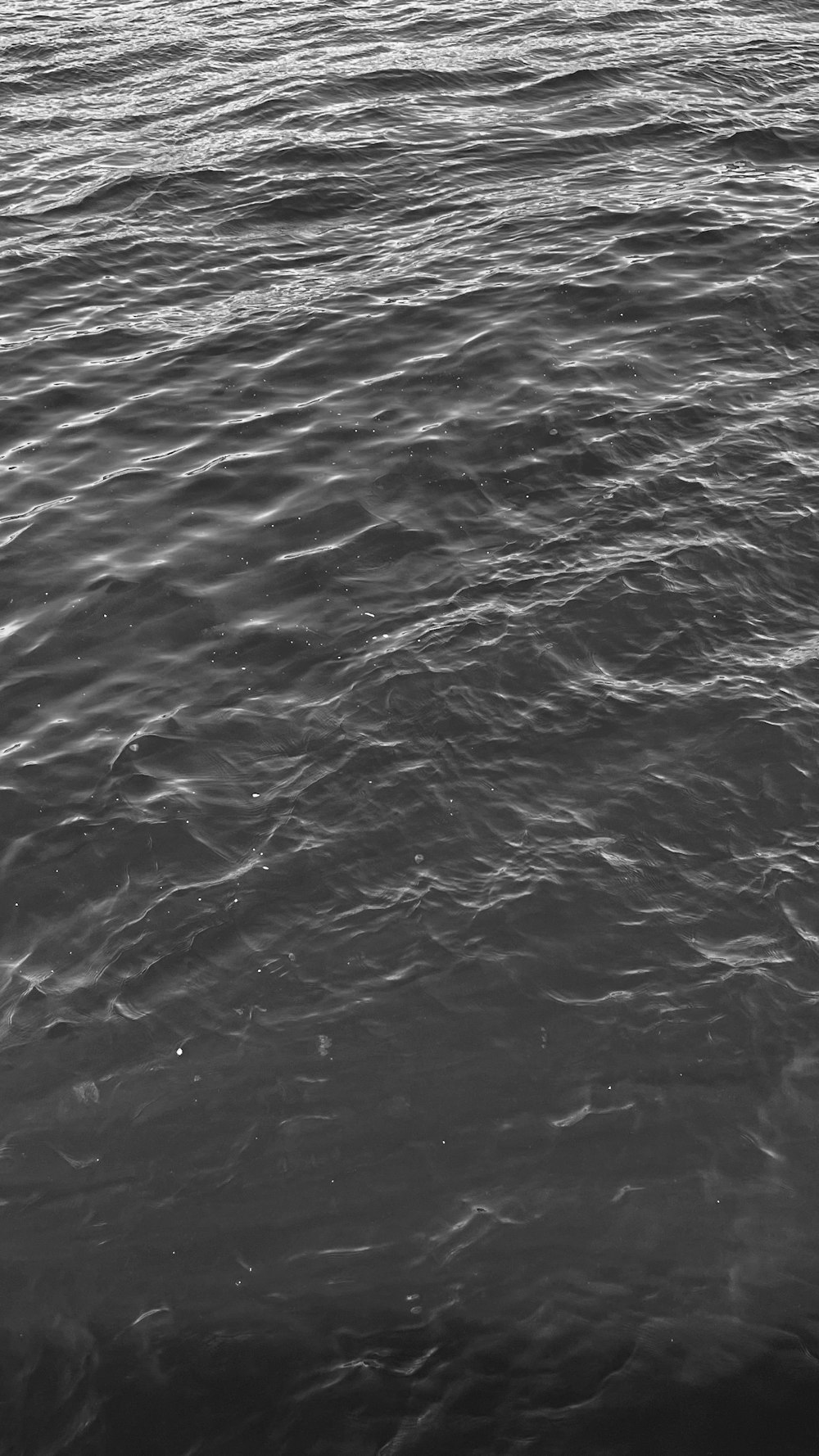 a body of water with ripples