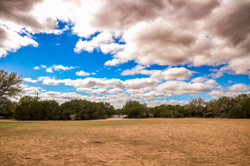 um grande campo com árvores no fundo