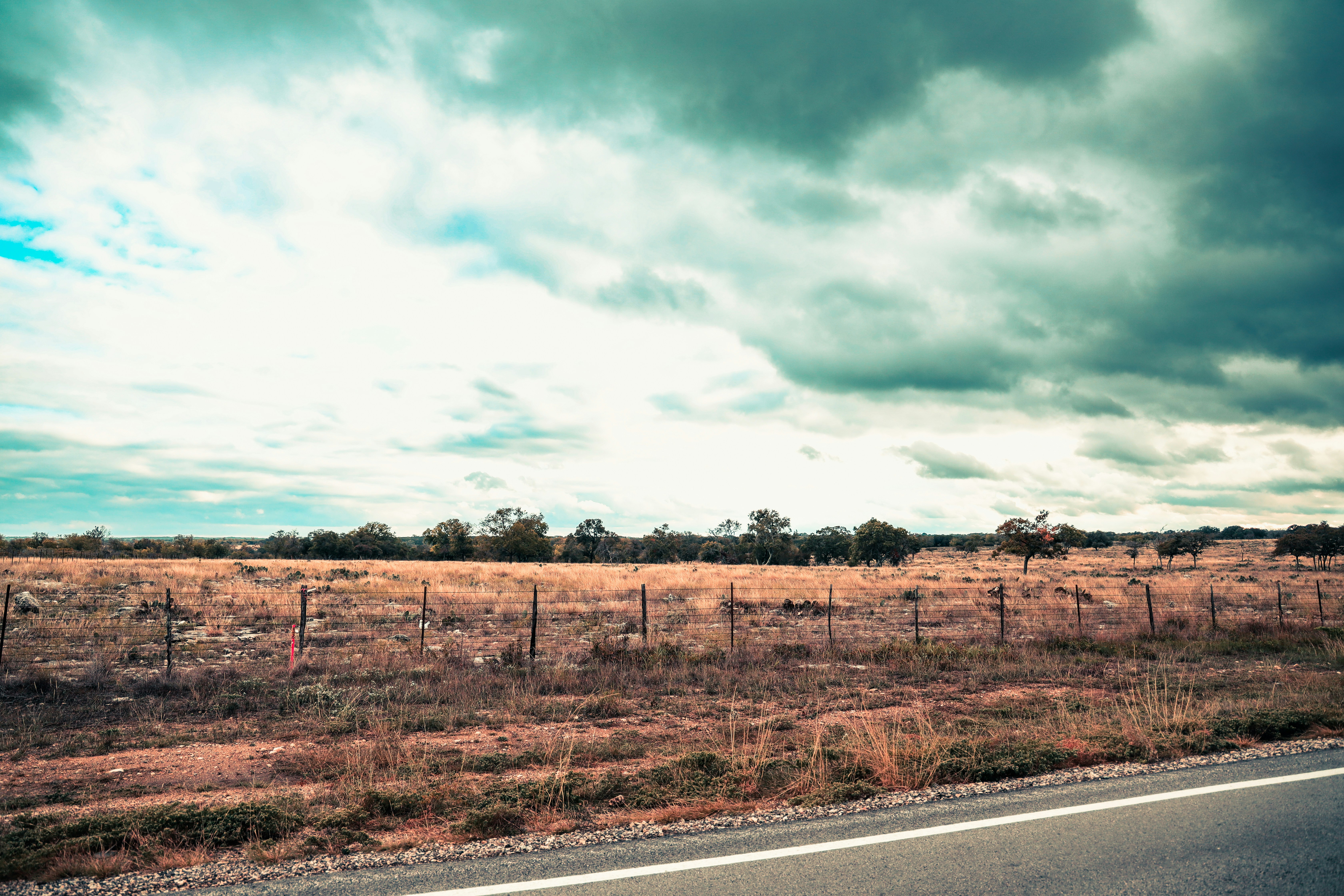 Photo by lilyycamillephoto