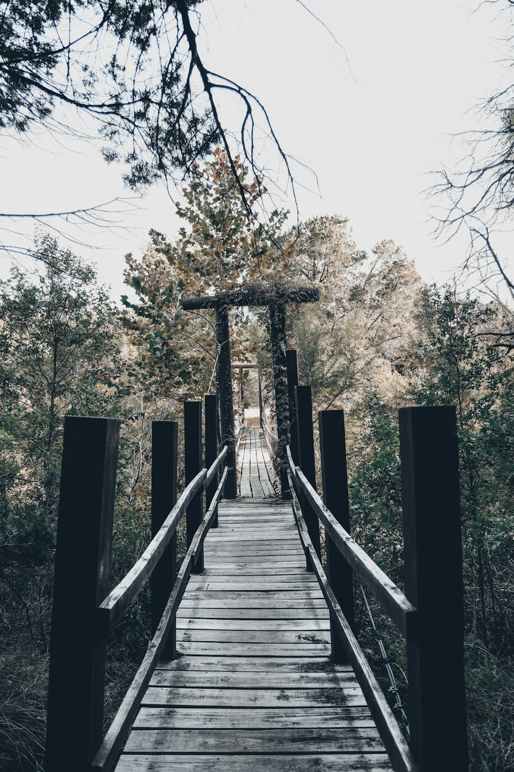 a wooden bridge with trees on either side of it