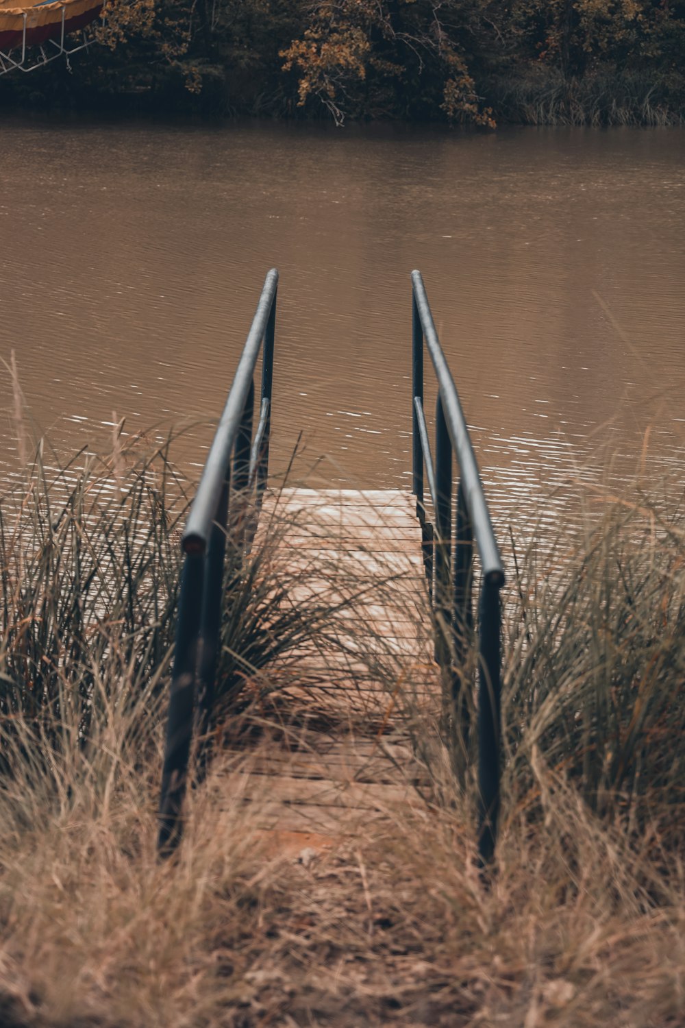 a row of sticks in a body of water