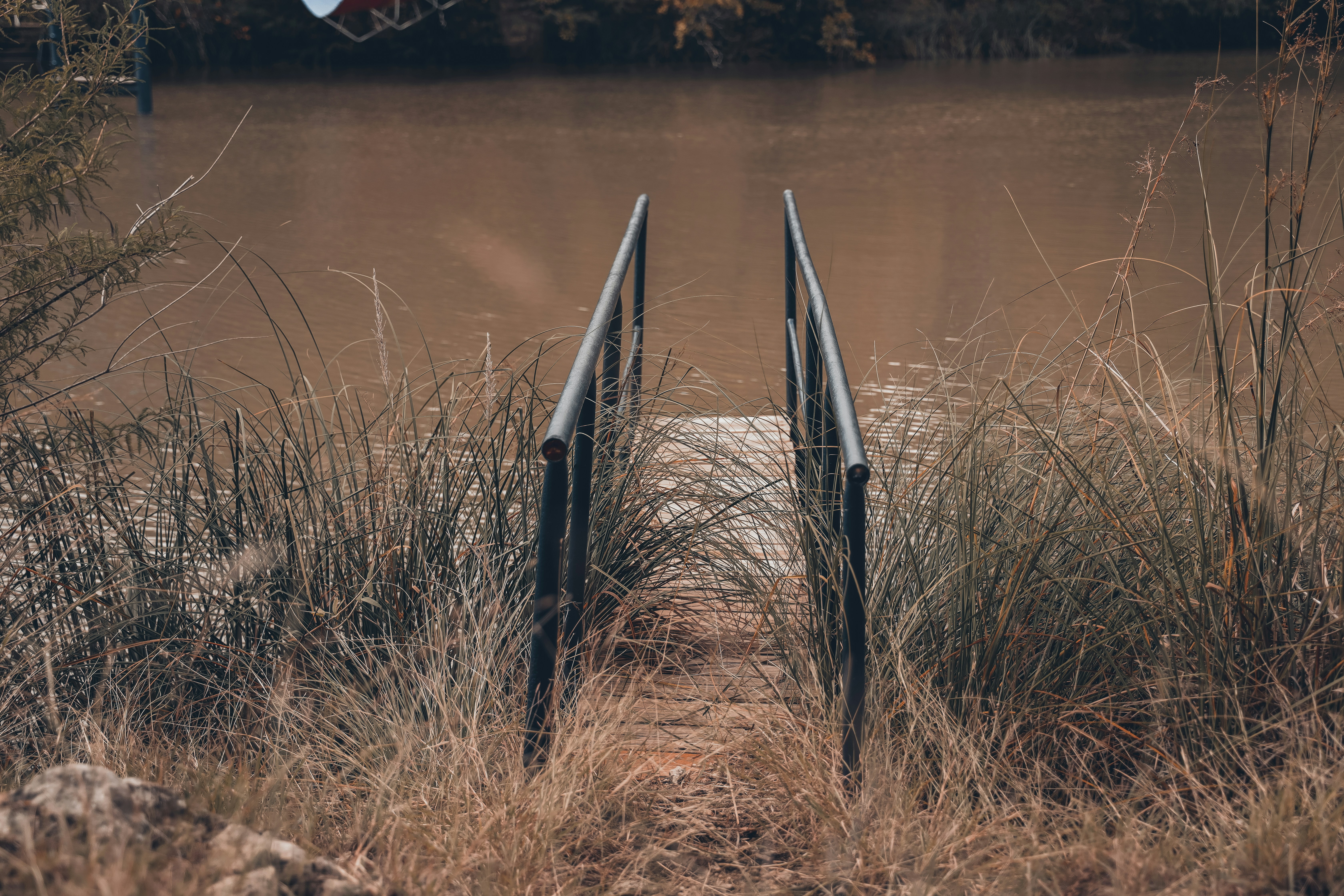 Photo by lilyycamillephoto