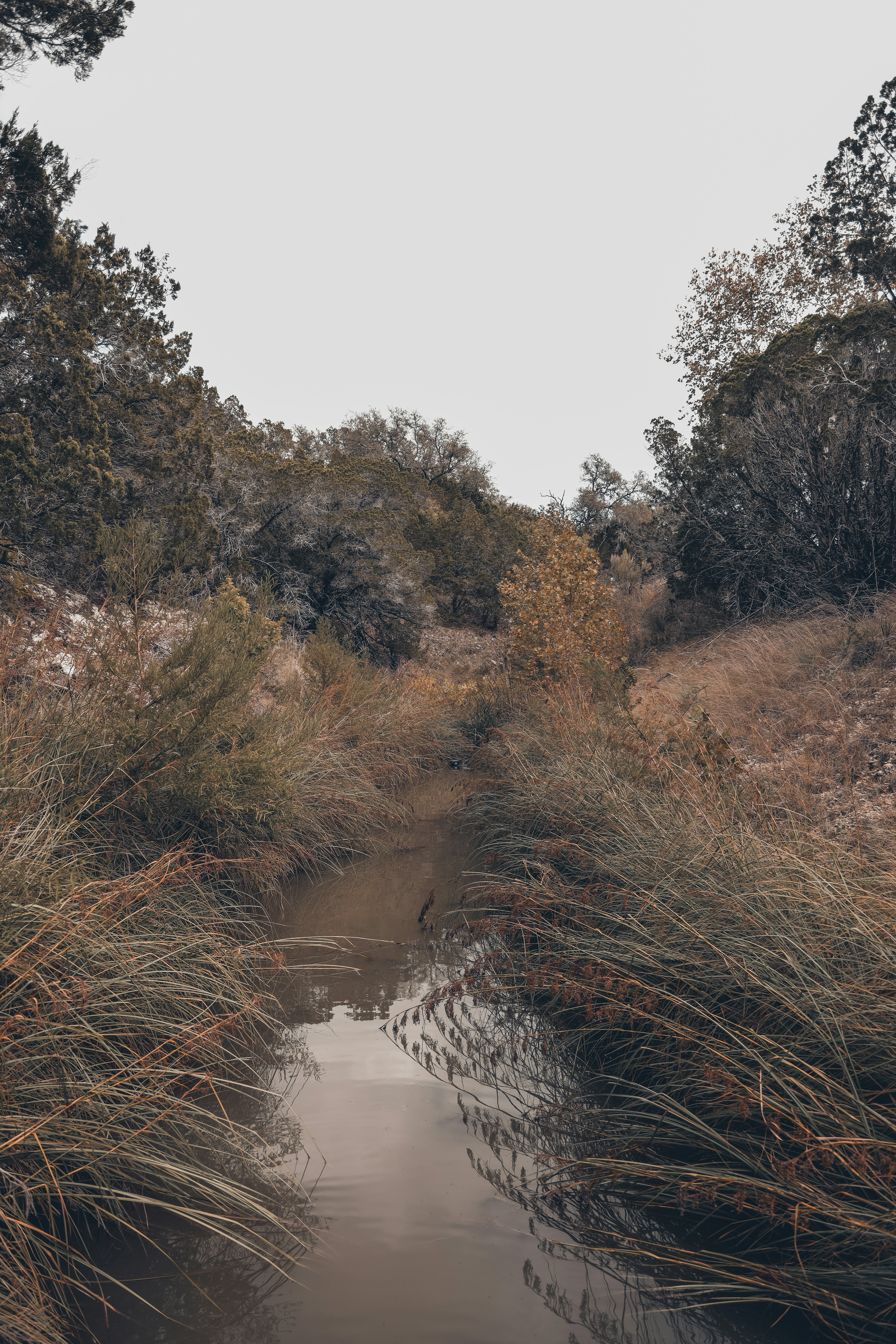 Photo by lilyycamillephoto