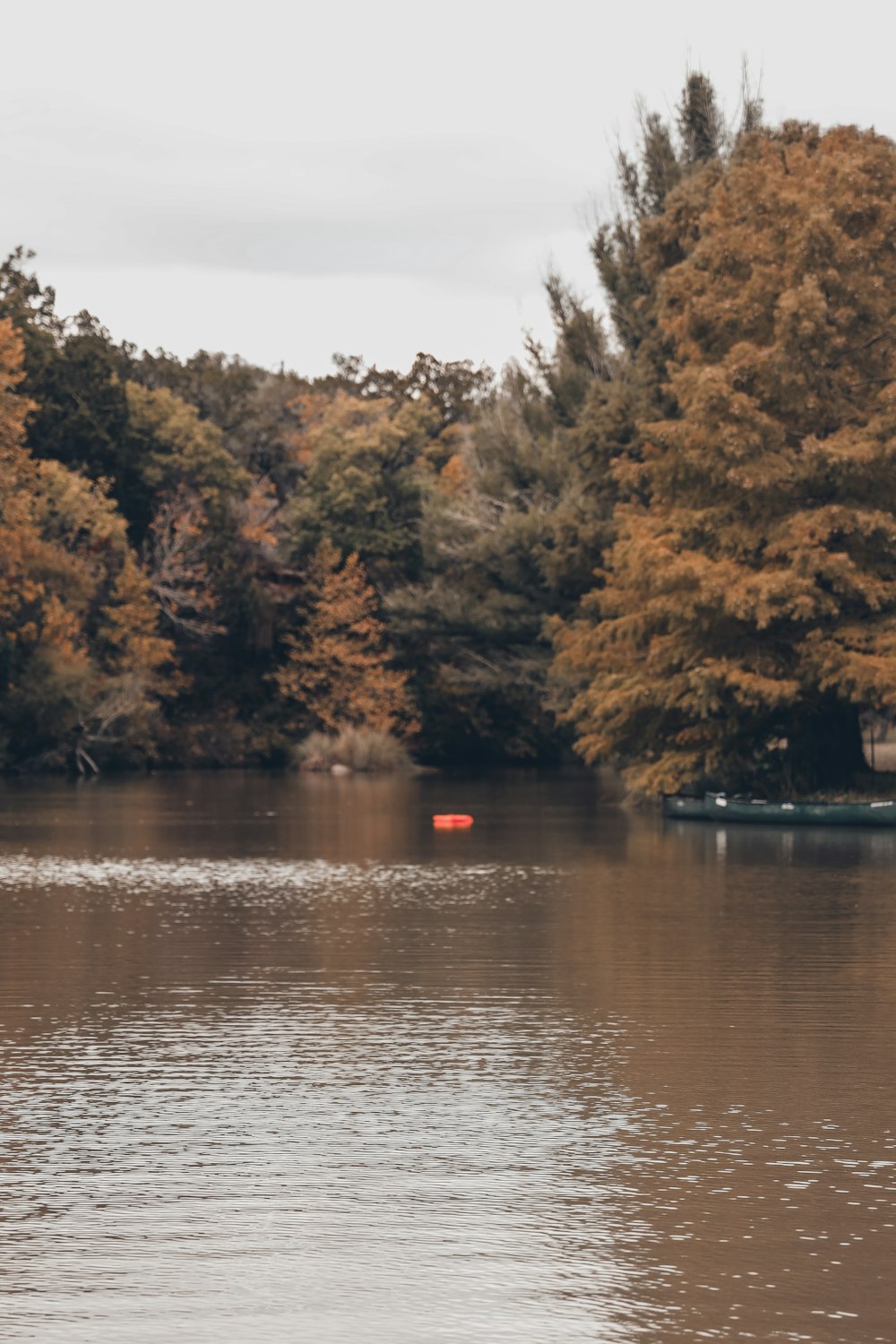 a body of water with trees around it