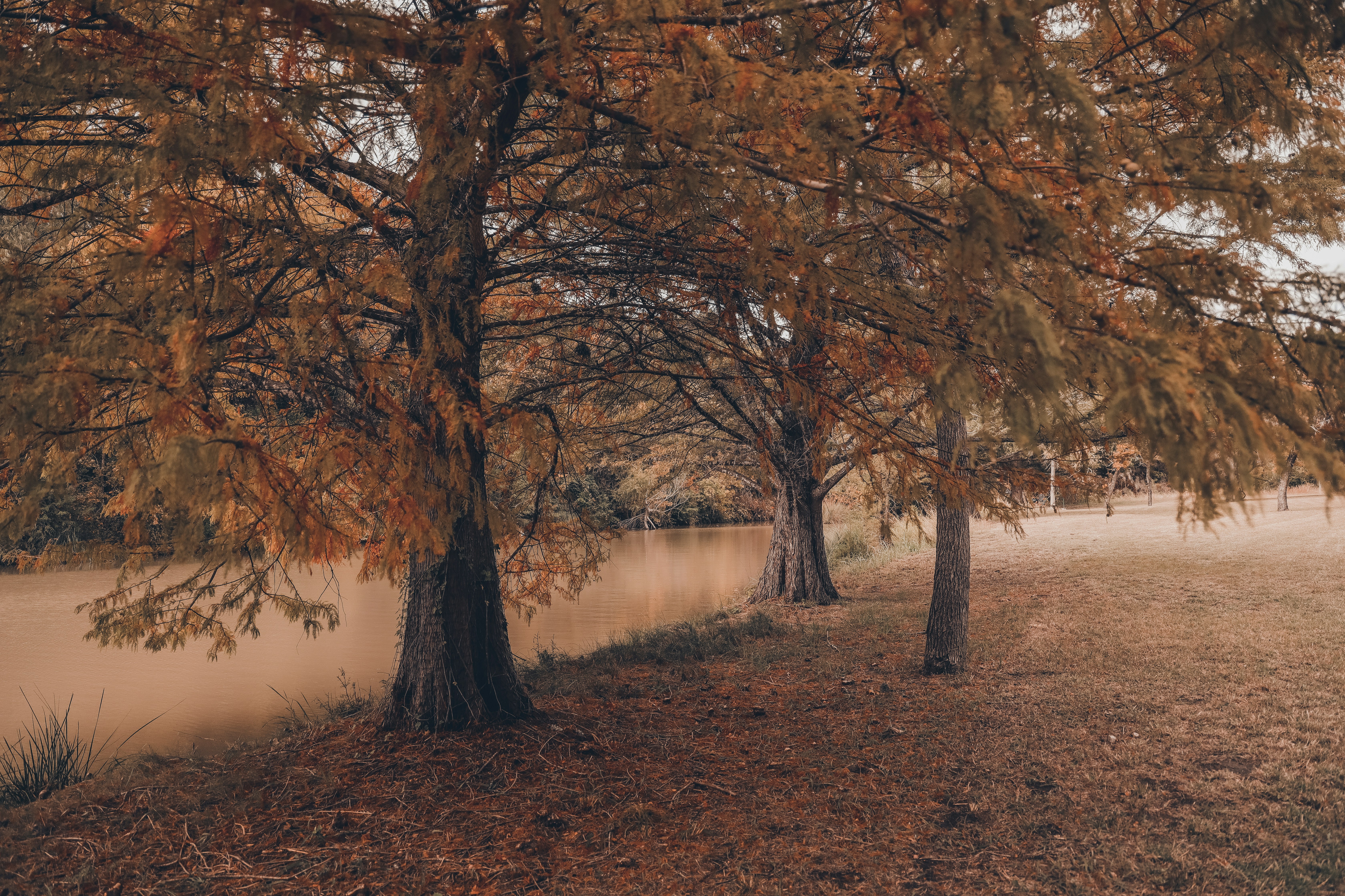 Photo by lilyycamillephoto