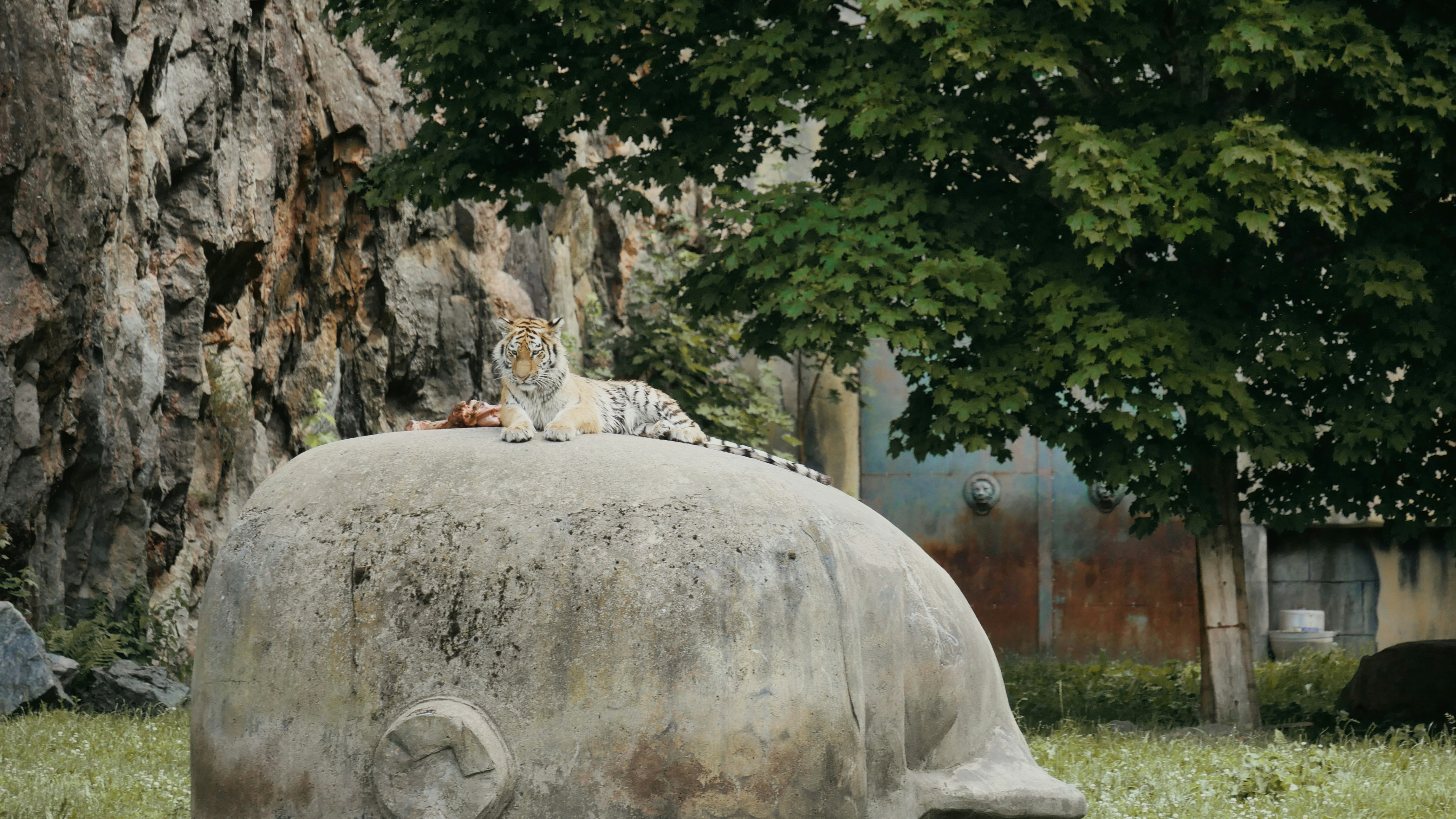 Photo by route2tushar