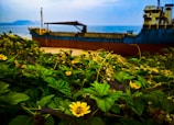 A large cargo ship is positioned in the background, set against a backdrop of the sea and distant mountains under a slightly overcast sky. In the foreground, lush green foliage is interspersed with small yellow flowers, adding vibrant contrast to the scene.