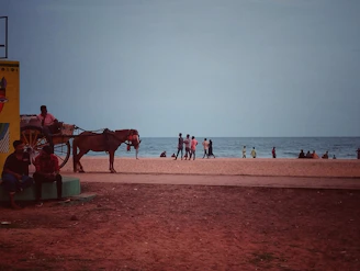 A beach scene with people walking and relaxing near the shoreline. A horse-drawn carriage is positioned to the left, with a person sitting on it. A colorful mural is partially visible on a building nearby.