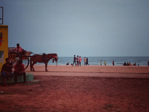 A beach scene with people walking and relaxing near the shoreline. A horse-drawn carriage is positioned to the left, with a person sitting on it. A colorful mural is partially visible on a building nearby.