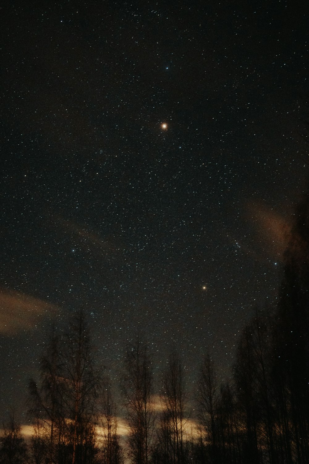 a starry night sky with trees