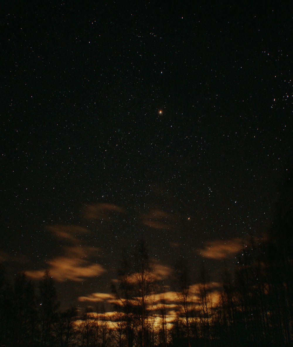 a night sky with stars
