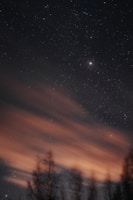 a starry night sky with trees