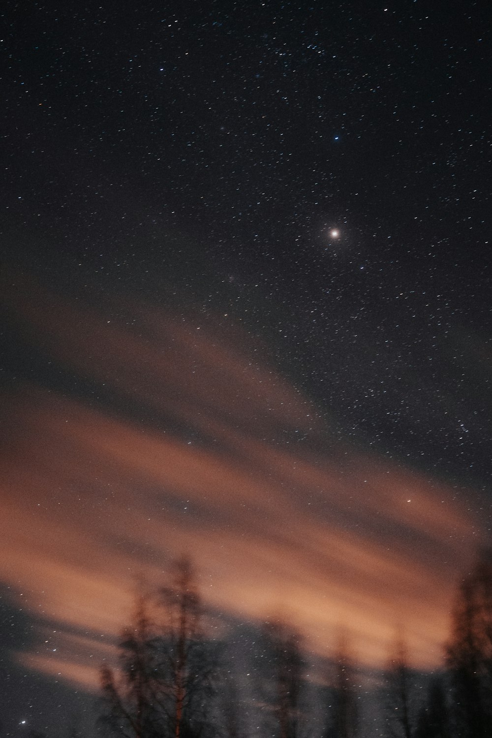 a starry night sky with trees