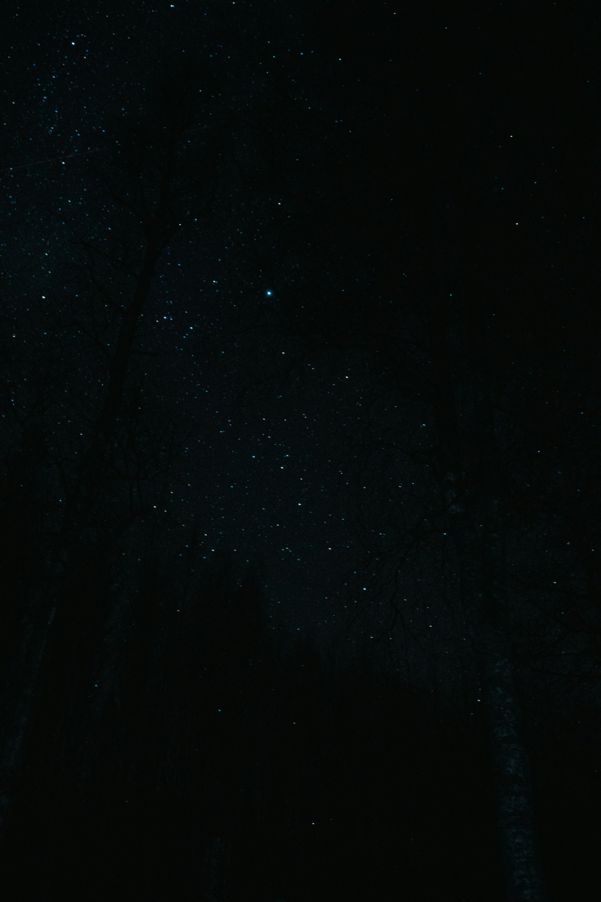 a starry night sky