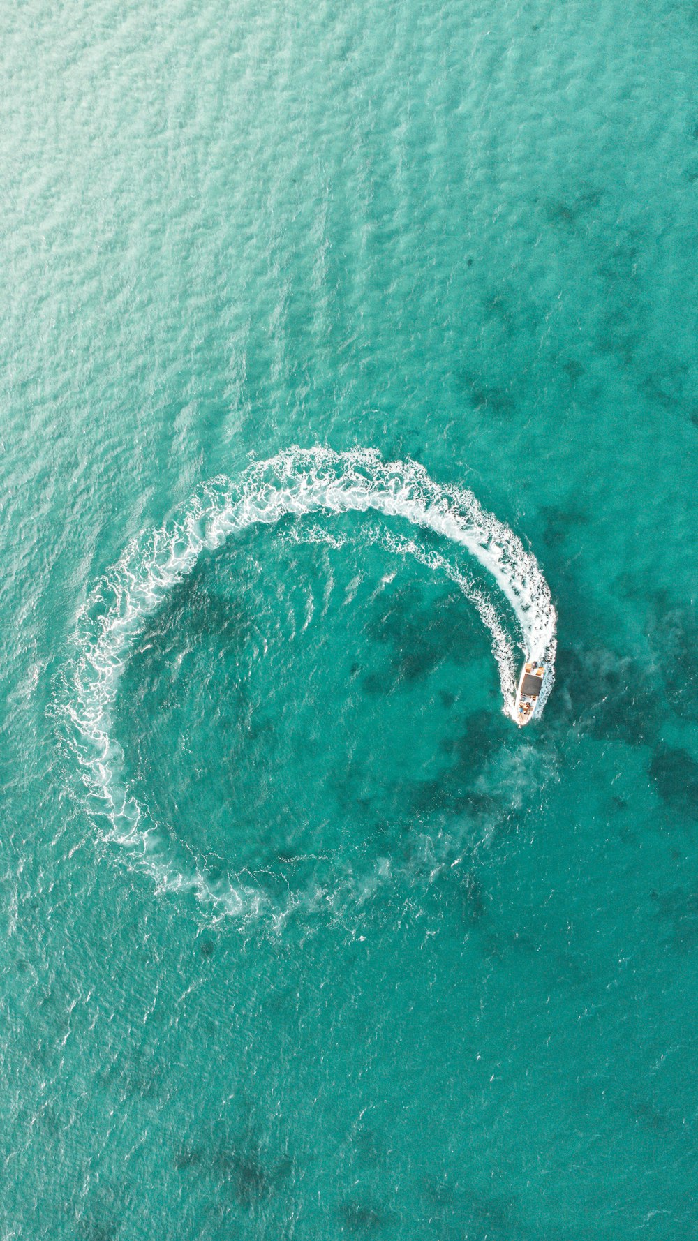 Una ballena en el agua