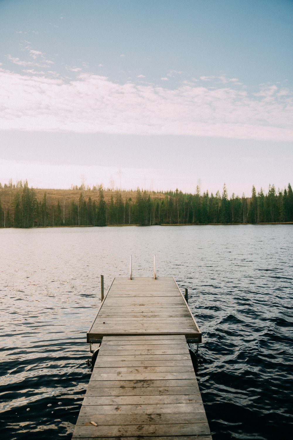 a dock leading out to a forest