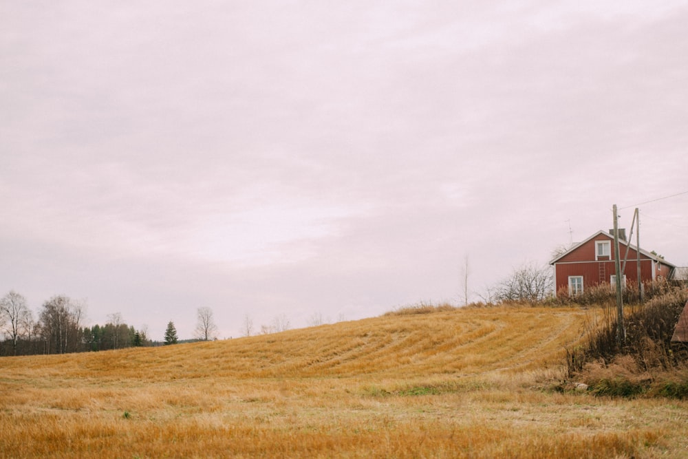 a grassy field with a house in the background