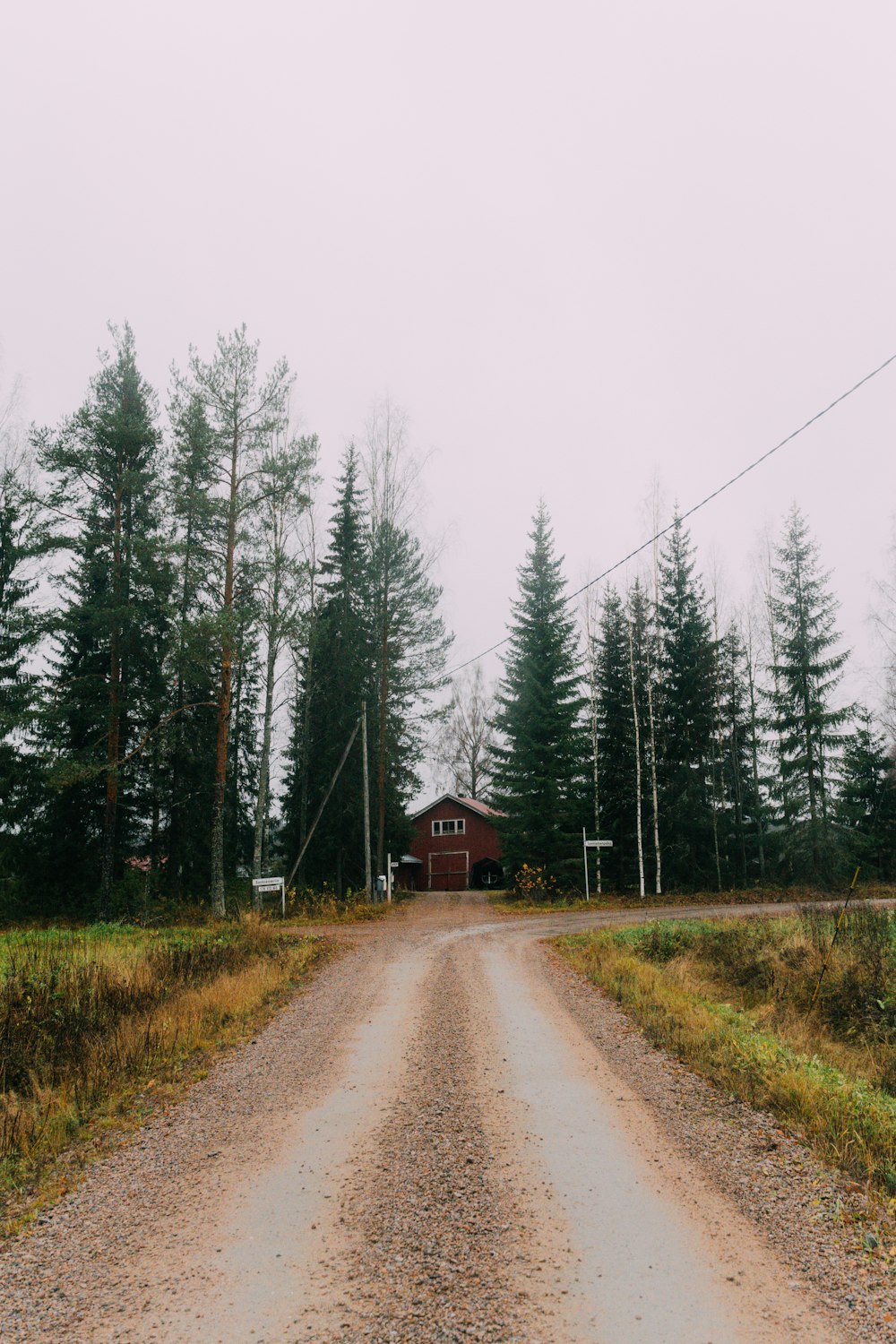 a dirt road with trees on either side of it