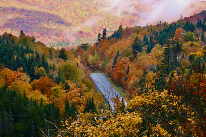 The river valley in full autumn colour