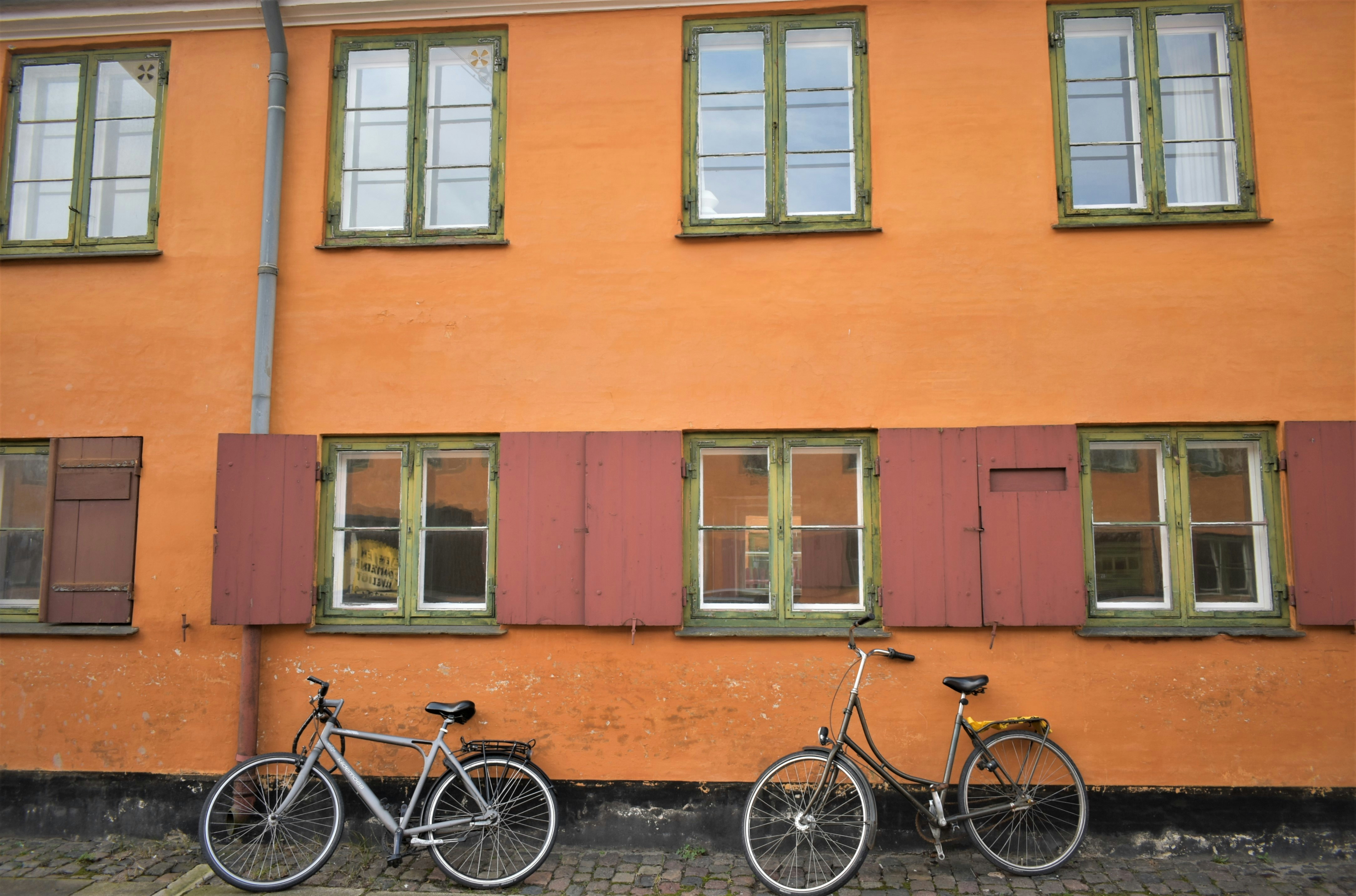 Photo by oxganggreen