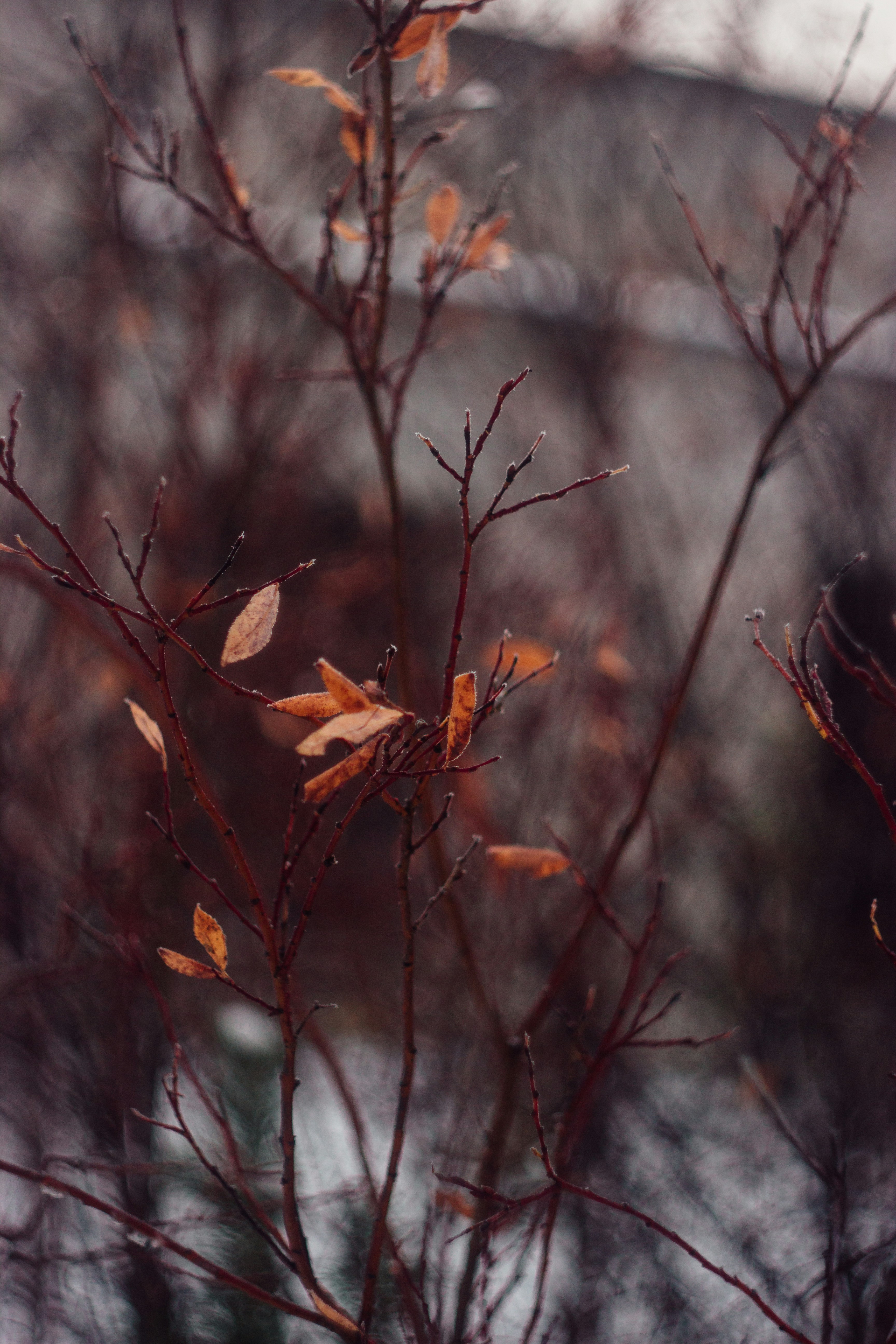 Photo by zitzdorovo